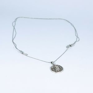 Alex and Ani Silver Pull Chain Necklace Rulers Of